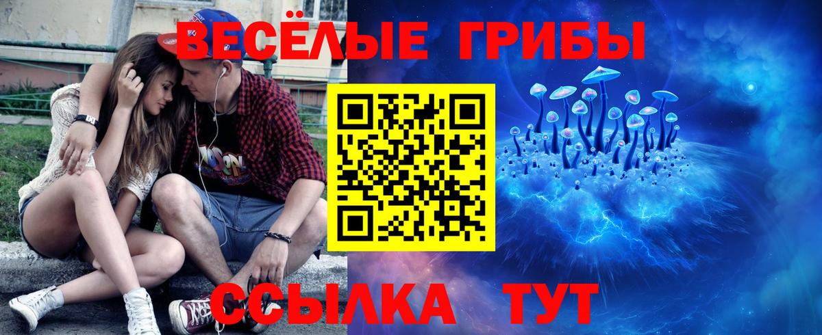 Псилоцибиновые грибы Psilocybine cubensis  Вход с VPN  Грозный 